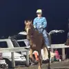 C-dawg - @caleb.carver5 - TikTok