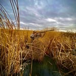 Caleb Casey - @calebcasey2020 - Instagram