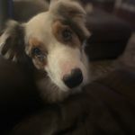 Caleb Casey - @not_calebcasey19 - Instagram