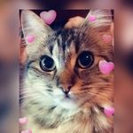 Caleb Casey - @_caleb_casey_ - Instagram