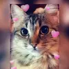 CalebCasey17 - @calebcasey17 - TikTok