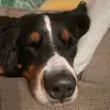 calebcasey76 - @calebcasey76 - TikTok