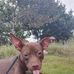 Kai Caleb Caster - Facebook