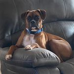 Caleb - @caleb_caudill24 - Instagram