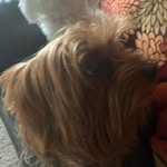 Caleb Caudill - @calebc_66 - Instagram