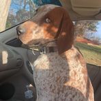 Kaleb Cavanaugh - Facebook