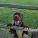 Caleb Champion - Facebook