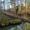 calebchampion560 - @calebchampion560 - TikTok