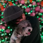 Caleb Chan - @kwanlammm - Instagram