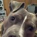 Caleb Chaney - Facebook