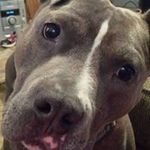 caleb_chaney - @caleb.chaney04 - Instagram