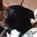 Caleb Chaney - @caleb_888888 - Instagram