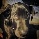 Caleb_Chastain - @_caleb_chastain_ - Instagram