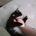Caleb Chastain Caleb Chastain - Facebook