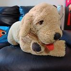 Caleb Cheung - Facebook