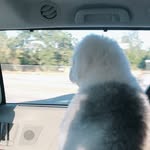 Caleb Chiang - @chiangcaleb - Instagram
