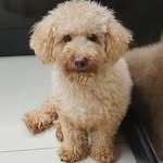 Caleb - @caleb.choyy - Instagram