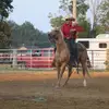Caleb Chrisman - @f1cummins06 - TikTok