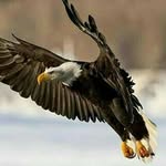 CALEB CHRISTIAN_16 - @christianyonathan16 - Instagram