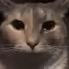 caleb christy - @kittiecatplays1 - TikTok