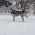 Caleb Clair - Facebook