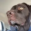 Caleb Clare - @caleb.clare - TikTok