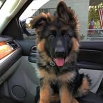 Clara Caleb - Facebook