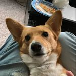 Caleb Cliver - @clivercaleb - Instagram