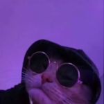 Caleb coffin - @calebbooof - Instagram