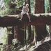 Caleb Colvin - Facebook