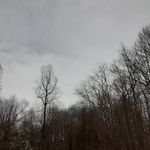caleb combs - @calebcombs468 - Instagram