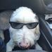 Harvey Caleb Condon - Facebook