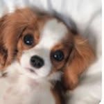 Caleb Considine - @earbuytub - Instagram