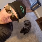 Caleb Lloyd Conway - @tashaandcaleb - Instagram