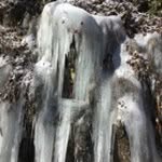 Caleb Cook - @calebcook8648 - Instagram