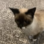 Caleb Cooney - Facebook