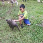 Caleb Cordero - @calesitocr - Instagram