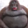 Cale Cornett - @cale.cornett - TikTok