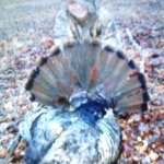 Calebcouch - @calebcouch23 - Instagram