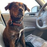 Caleb Covington - @calebcovington606 - Instagram