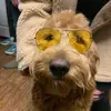 Caleb Covington - @ccovington12 - TikTok