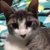 amywalter11 - @calebcray - TikTok