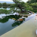 Caleb Craycraft - @medphnom - Instagram