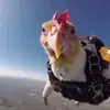 calebcrider - @caleb.crider - TikTok
