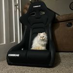 Kaleb Crider - @kaleb_crider71 - Instagram