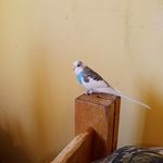 Caleb Crocker - @caleb.crocker.524 - Instagram