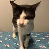 Caleb Cross - @caleb.cross53 - TikTok
