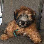 Caleb Crowl - @calebcrowl - Instagram
