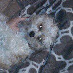 Caleb Crowl - @caleb753crowl27194 - Instagram