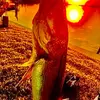 calebcrowley345 - @calebcrowley345 - TikTok